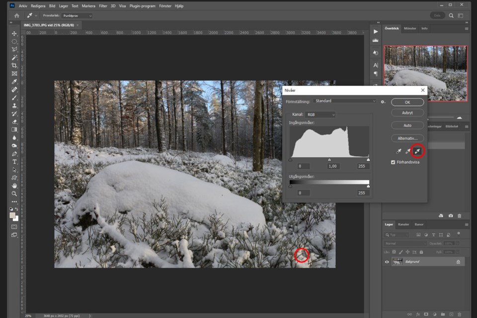 Hvordan jobbe med levels i Photoshop