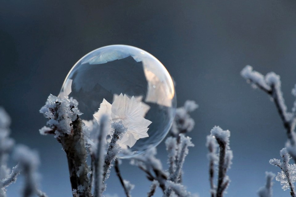 Frossen såpeboble på frosne grener