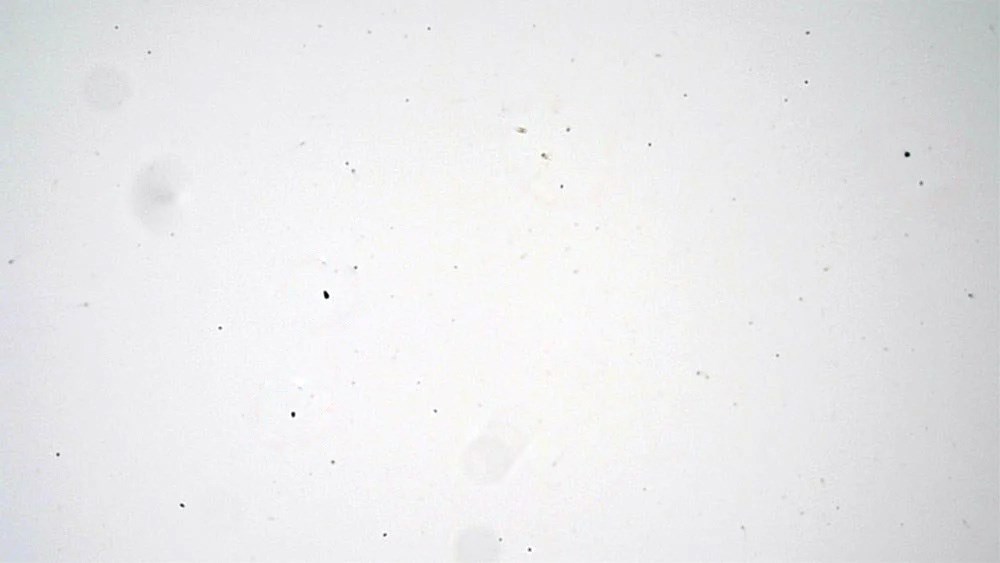 Bild mot ljus vit bakgrund som avslöjar dammpartiklarna