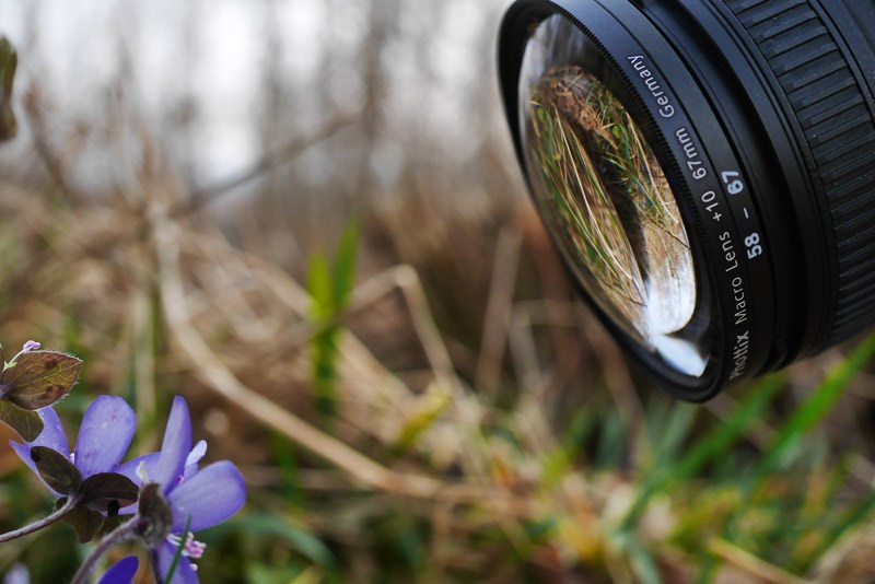 Makrofotografering