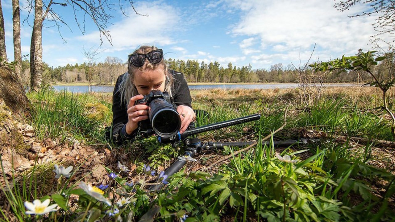 Makrofotografering innebærer å komme tett på små motiver