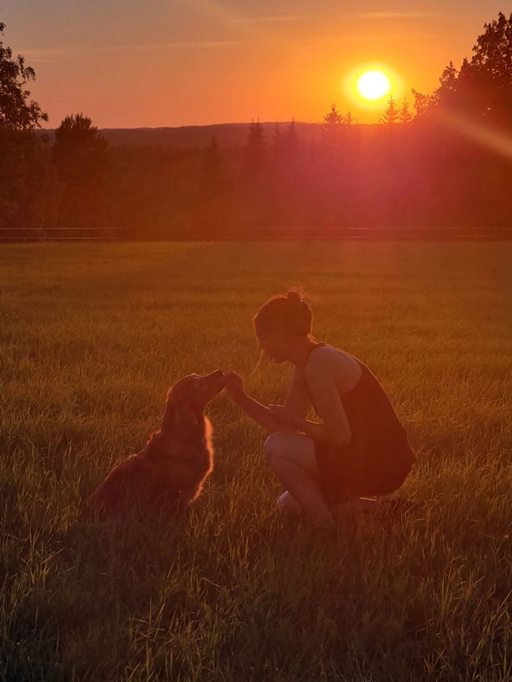 Hund og menneske i profil ved solnedgang