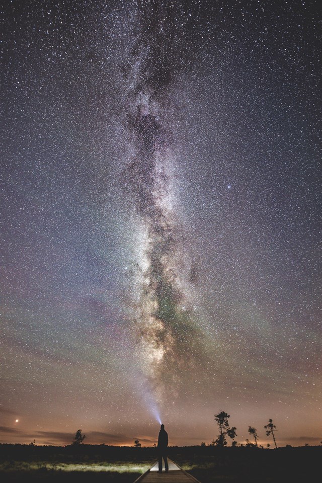 Stående bilde av Melkeveien