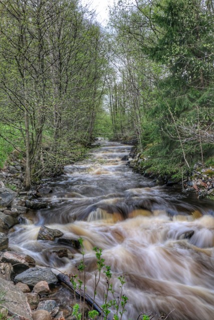 Foss i mai