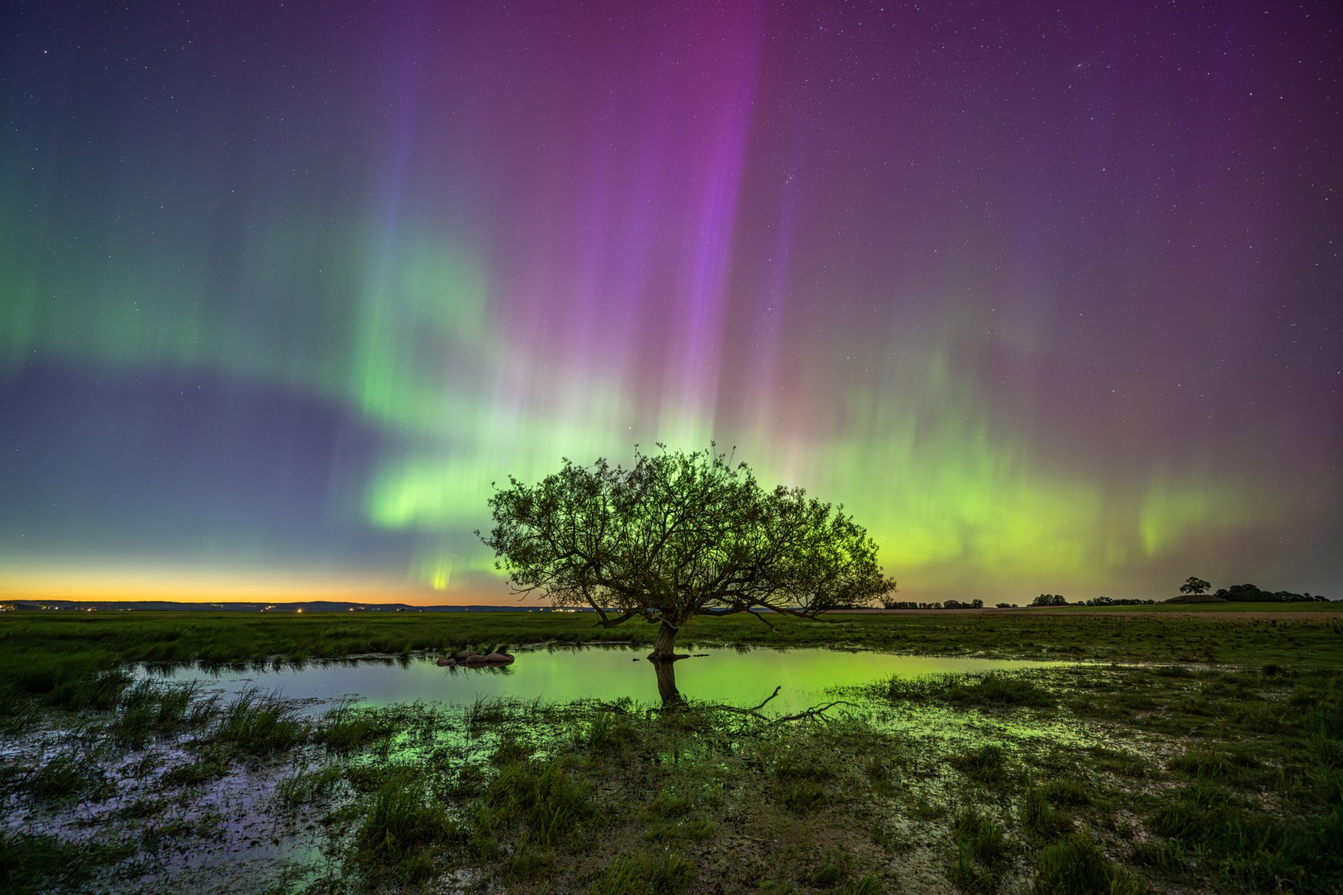 Vakkert nordlys fotografert av Mikael Järnåsen, august 2024.