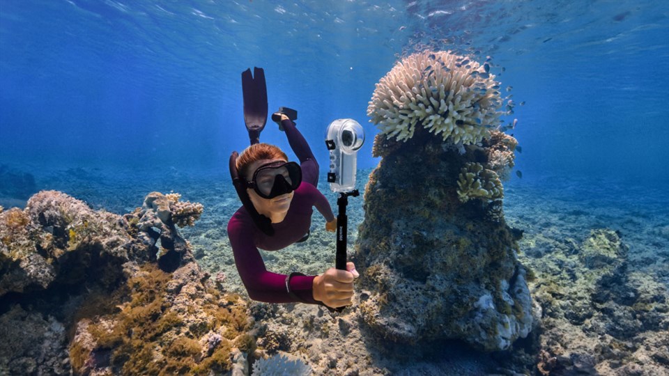 Dykk under overflaten med et 360-kamera og fang livet i havet